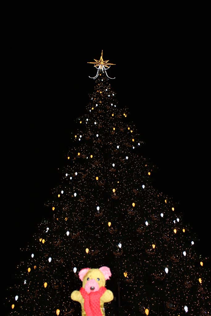  Decorations in the Old Town